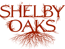 Shelby Oaks Movie